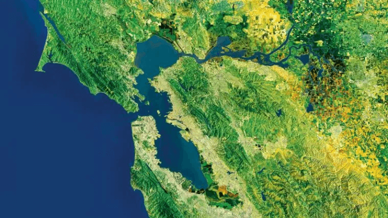 Bay Area Imagery